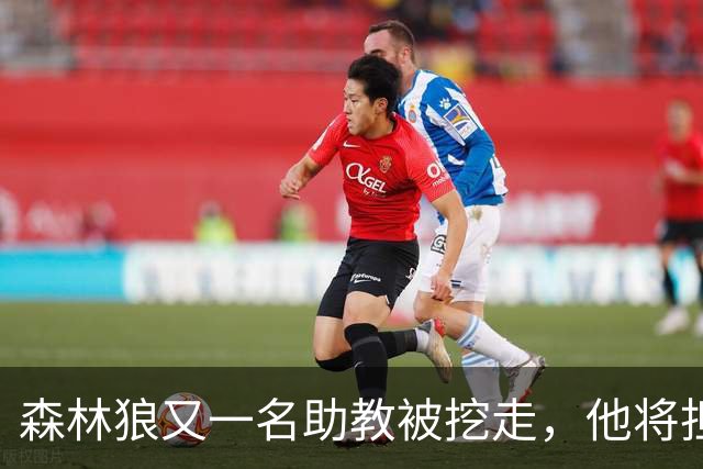 森林狼又一名助教被挖走，他将担任法甲联赛劲旅的新任主教练